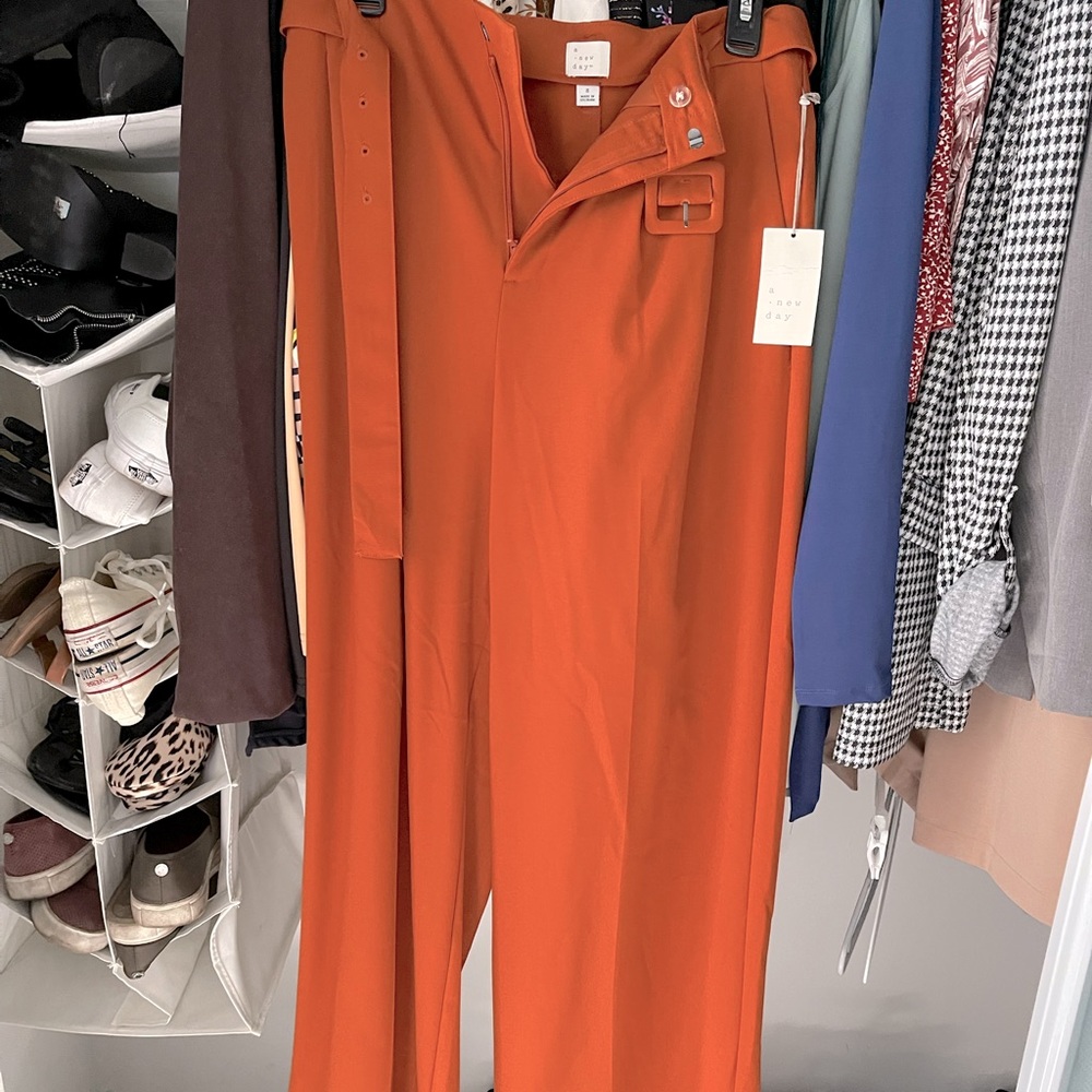 Bag pants with belt
